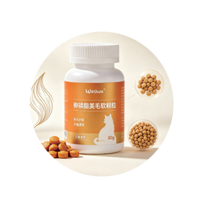 Lecithin Coat Care Soft Chews